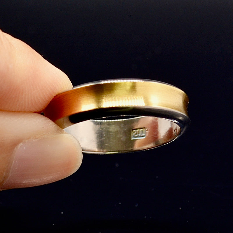 Titanium & Gold Plated Two-Tone Ring Band